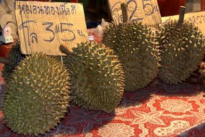 Durian just arrived